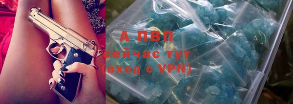 стаф Верея
