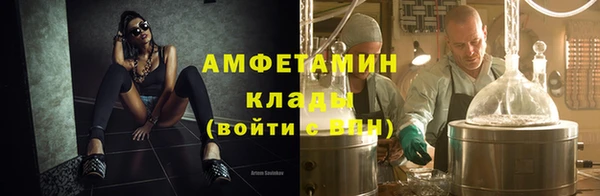стаф Верея