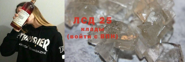стаф Верея