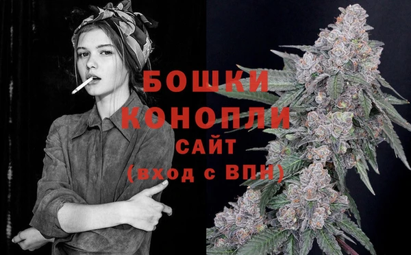 стаф Верея