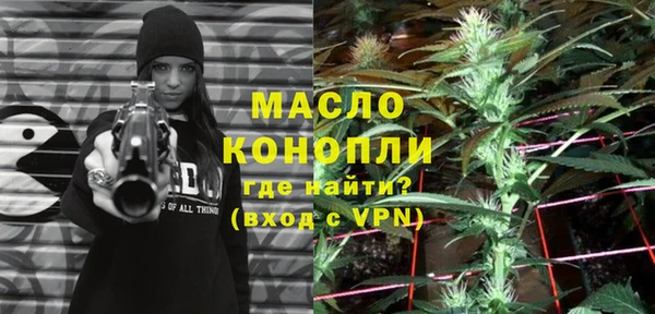 стаф Верея