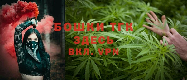 стаф Верея