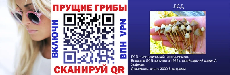 Галлюциногенные грибы Magic Shrooms  KRAKEN tor  Ковылкино 